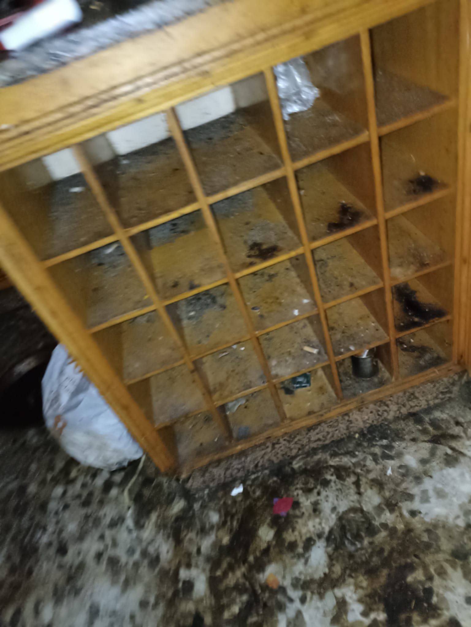 Obtén un vaciado de pisos rápido y eficiente con nuestro servicio en Bellmunt del Priorat