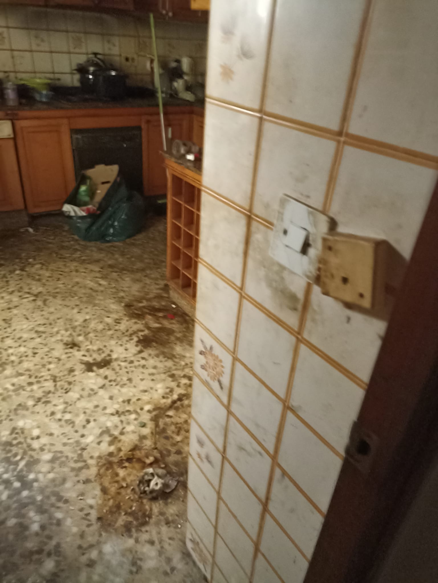 Vaciado de pisos y recogida de muebles en Sarral | Servicio rápido y eficiente